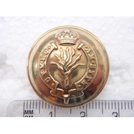 WW1/2 Welsh Guards Button