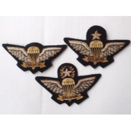 Singpaore Army Para Wings