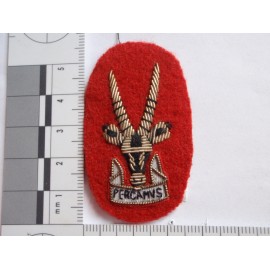 S.W Africa Territiry Army Officers Beret Badge