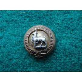 The Bedfordshire & hertfordshire Regt Officers Button