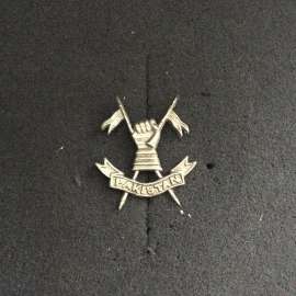Pakistan Armoured Regiment Cap Badge