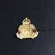 WWI Officers 10th North Otago Rifles Regiment Cap Badge