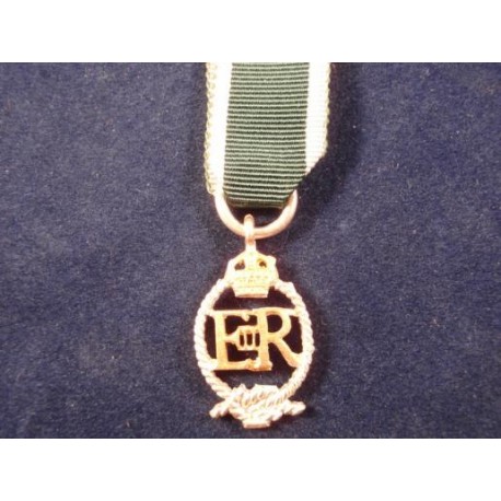 Royal Naval Reserve ER Issue Medal
